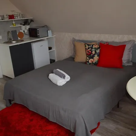 فندق مبيت وإفطار Rebeka Panzio تيهاني